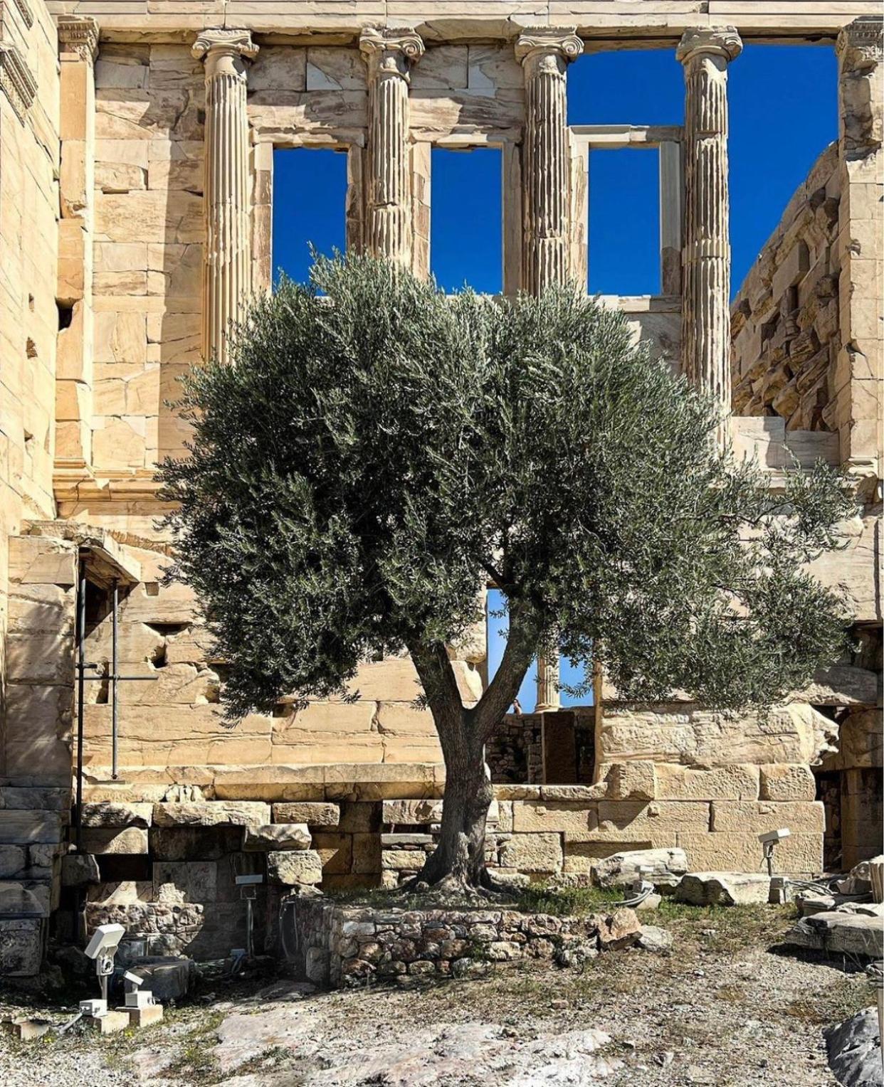 Appartement Tout Confort Athens Exterior photo